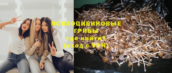 меф Алзамай